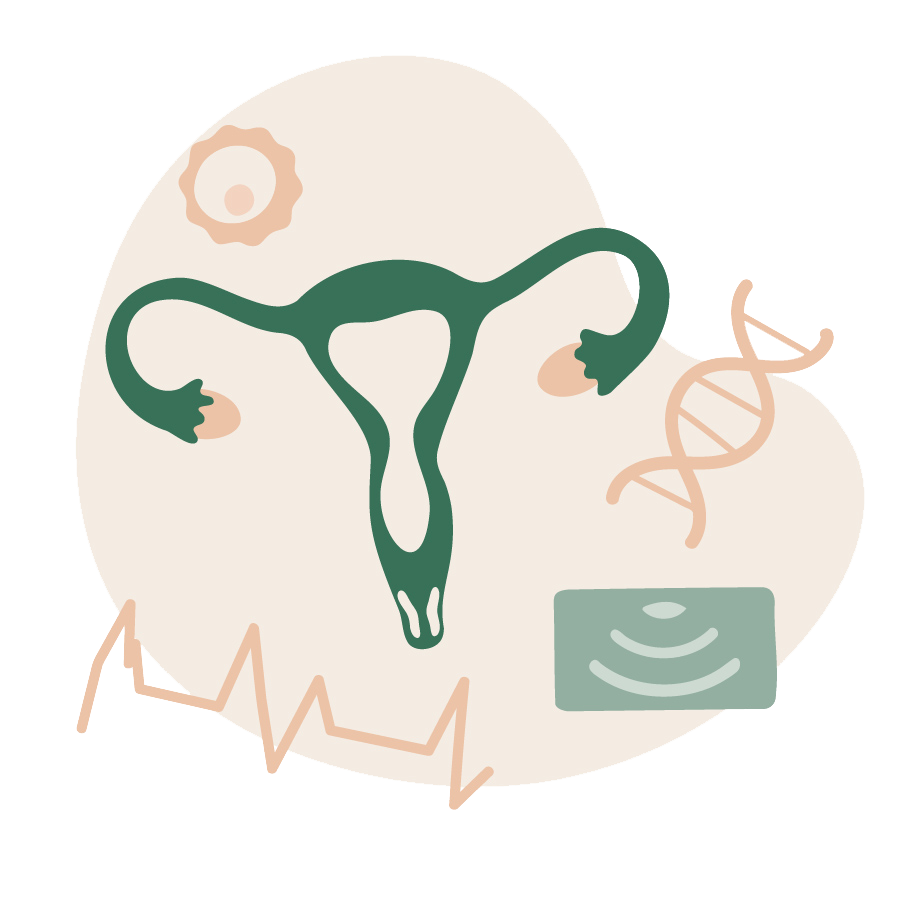 Rhea Step Illustration 260113-07